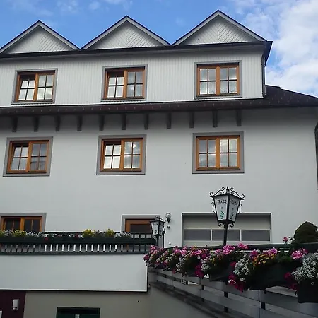 Hotel Traube 3*
