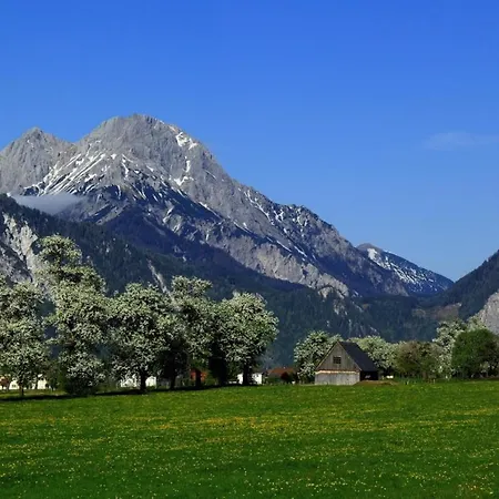 Traube