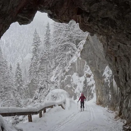 迪特拉贝酒店 酒店 3*