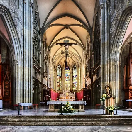 Traube 3* أدمونت